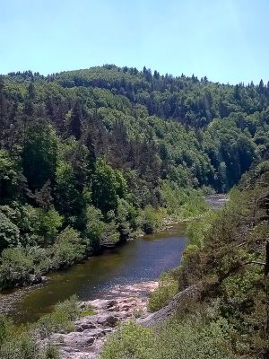 Les Gorges de la Loire